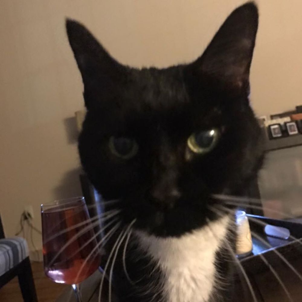 Meet your Posher, Christopher